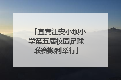 宜宾江安小坝小学第五届校园足球联赛顺利举行